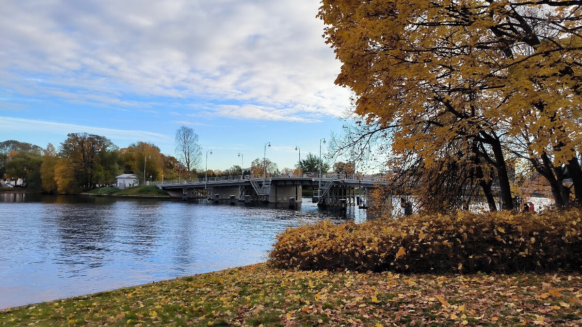Вспоминая осени золотые дни! - Ольга 