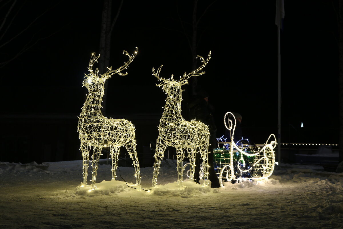 Зимние прогулки - Ольга 