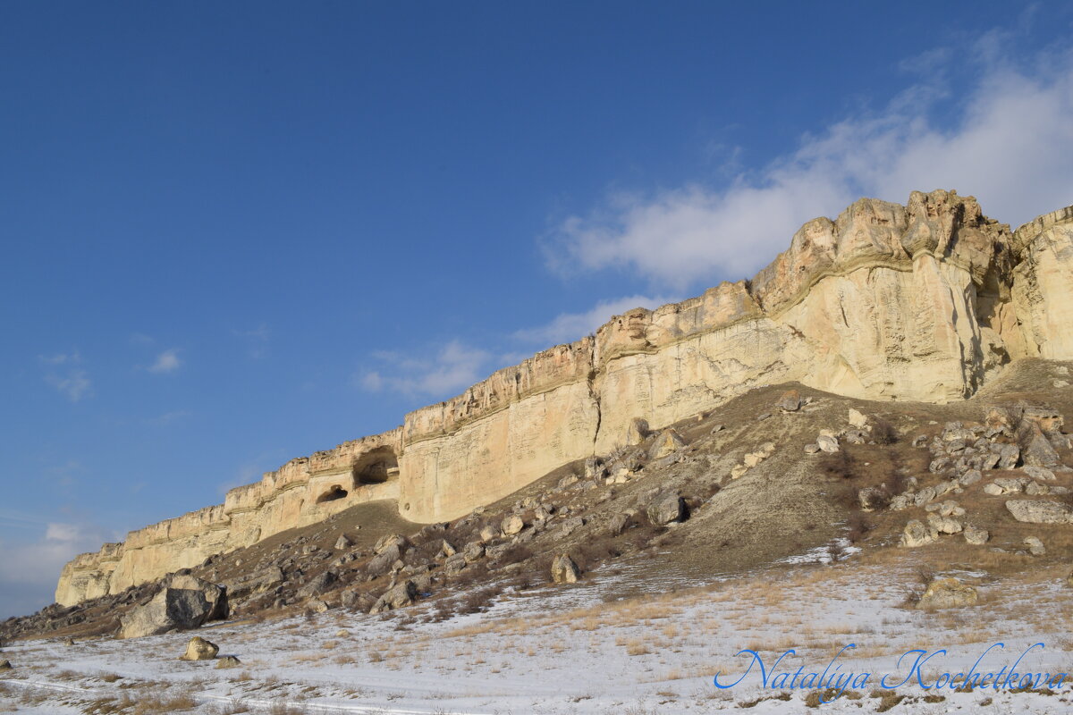 Природа Крыма - Amazing Cosmea