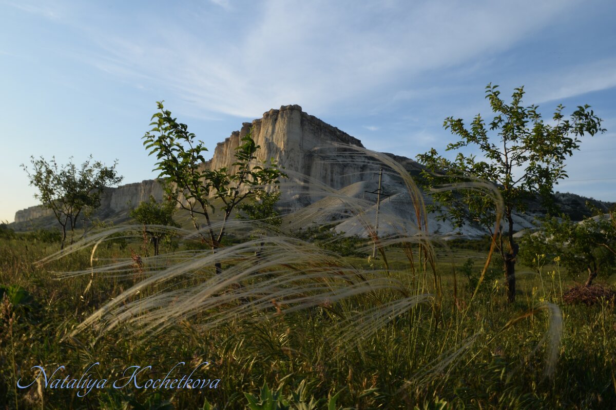 Природа Крыма - Amazing Cosmea