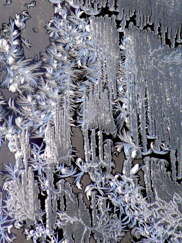 Художества деда Мороза. - nadyasilyuk Вознюк Художества деда Мороза. - nadyasilyuk Вознюк