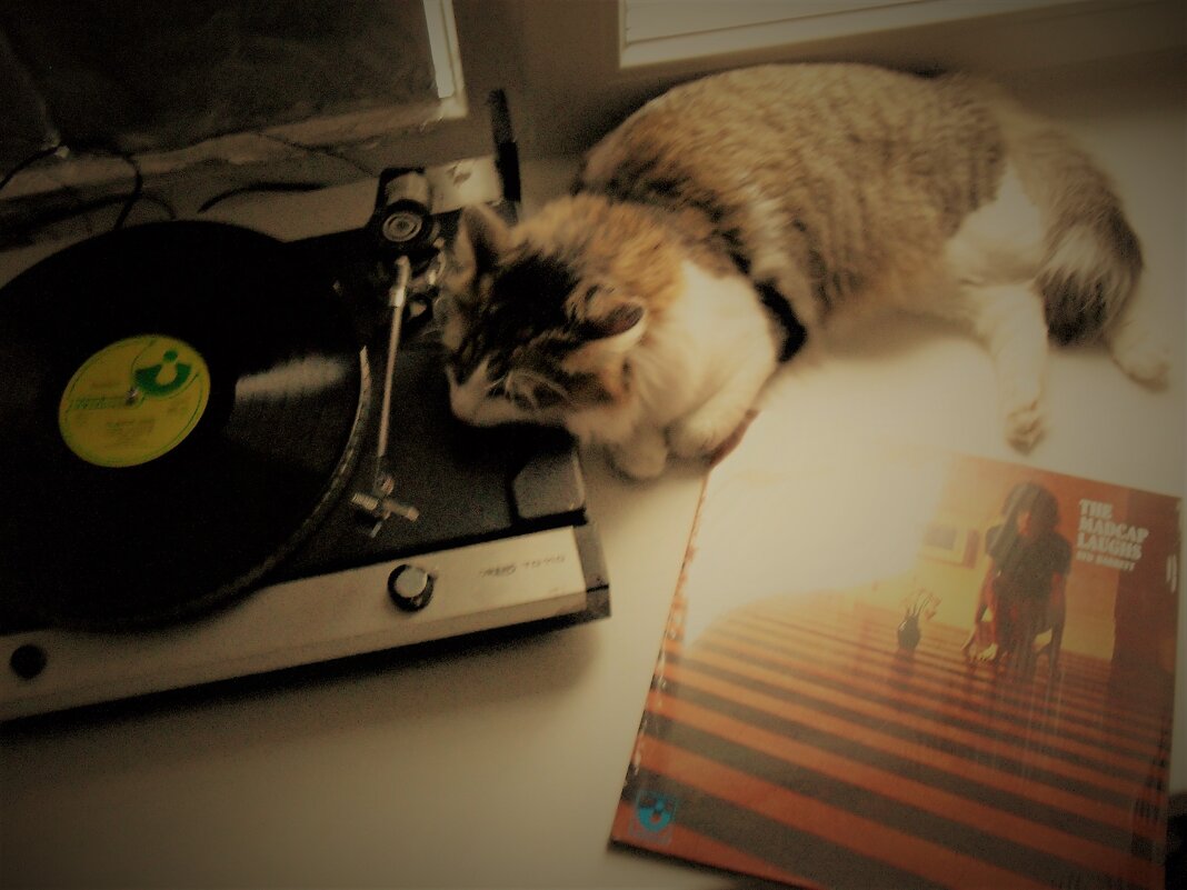 Меломан - Nora Nowhere