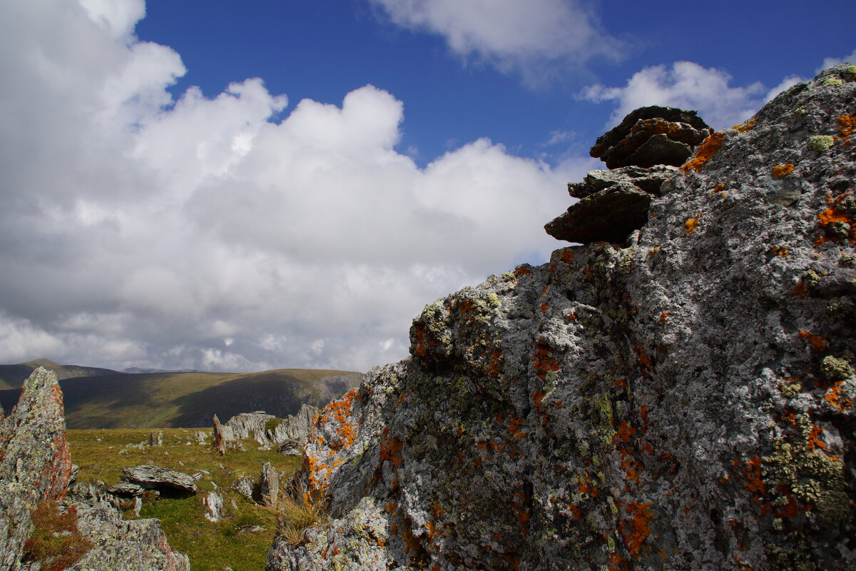 Алтайское - Наталия Григорьева