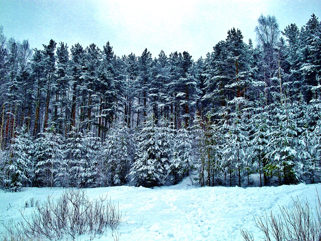 пейзаж зимний - Владимир 