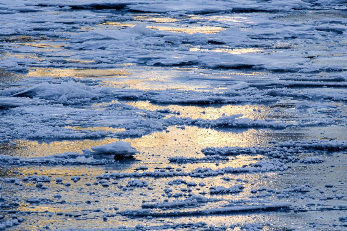 Новый лёд в процессе формирования - Георгий А
