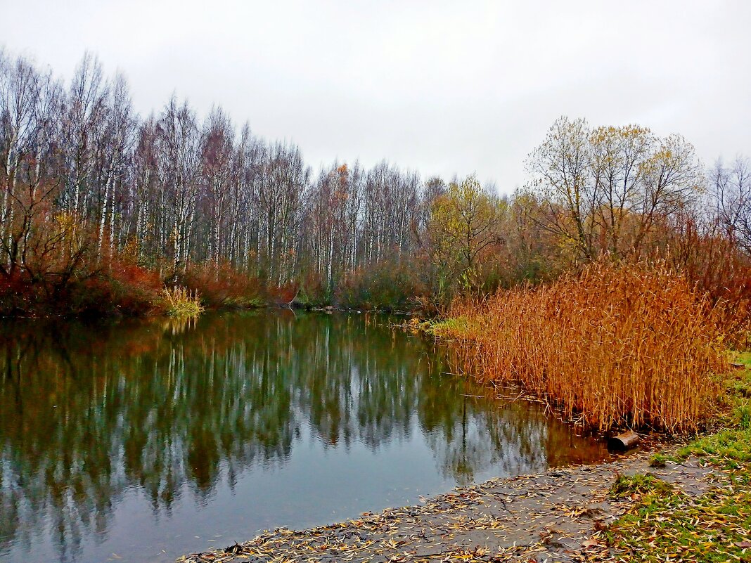 Поздняя осень. - Лия ☼
