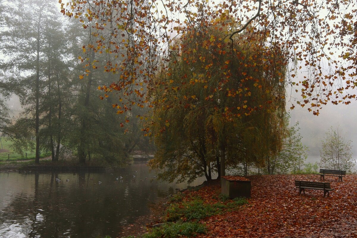 Туманное осеннее утро - Юрий. Шмаков