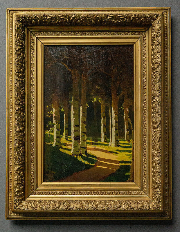 Солнечный свет в парке - Ирина Соловьёва