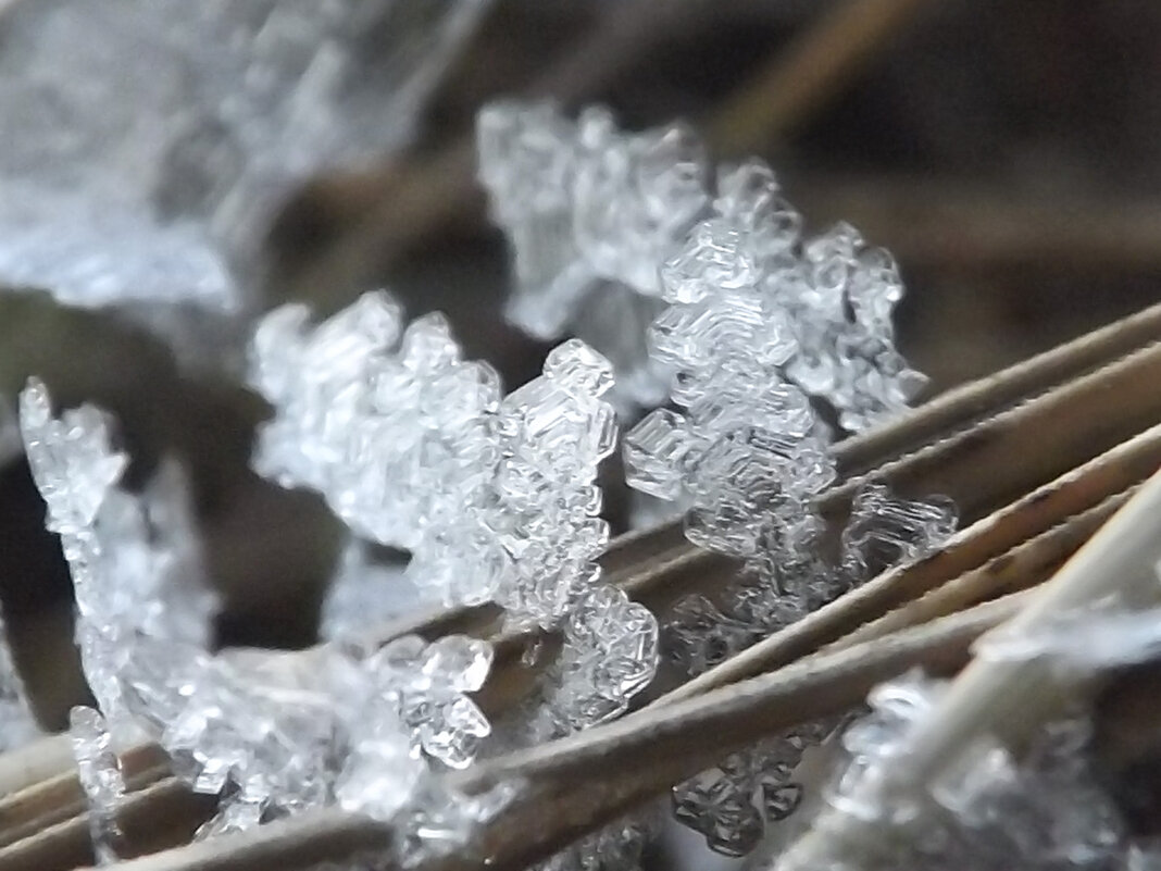 Льдинка - Александр Николаев