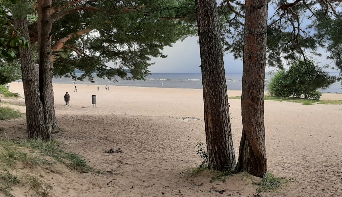 Лето 2025. Август - Наталья Герасимова