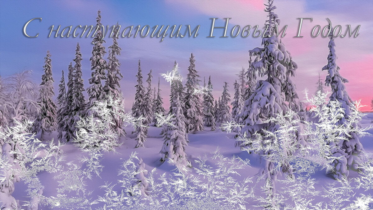 *** - Aleksey Afonin