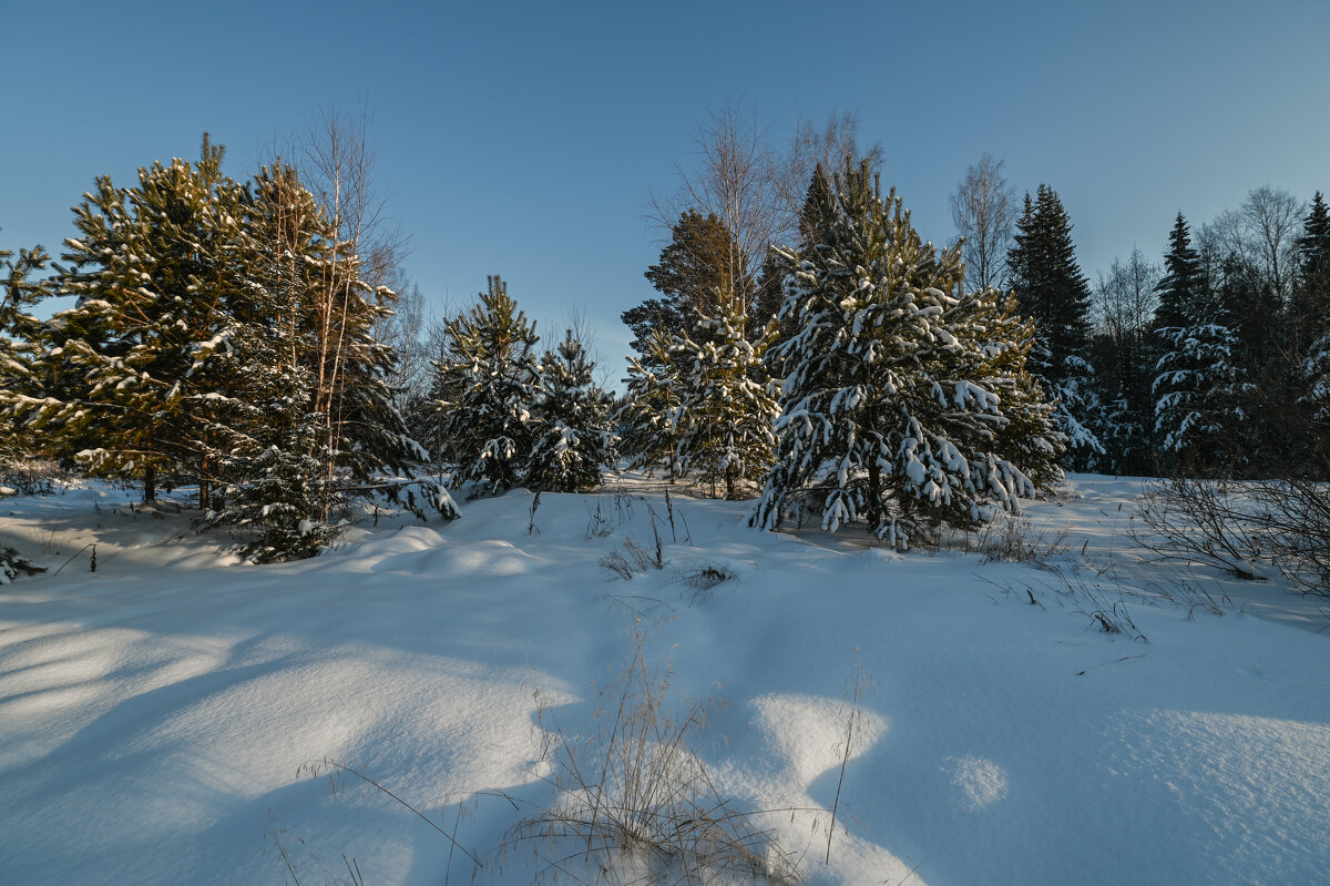 мягкий и пушистый снег - сергей 