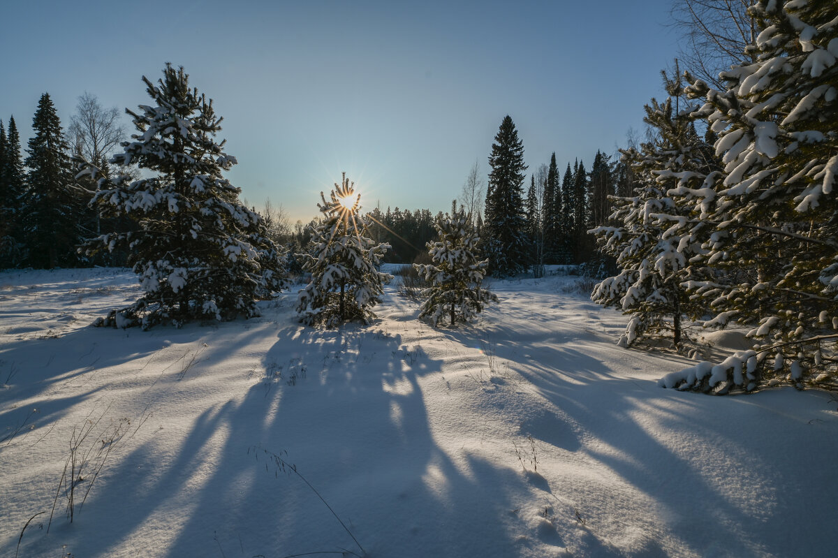 декабрьские лучи не греют - сергей 
