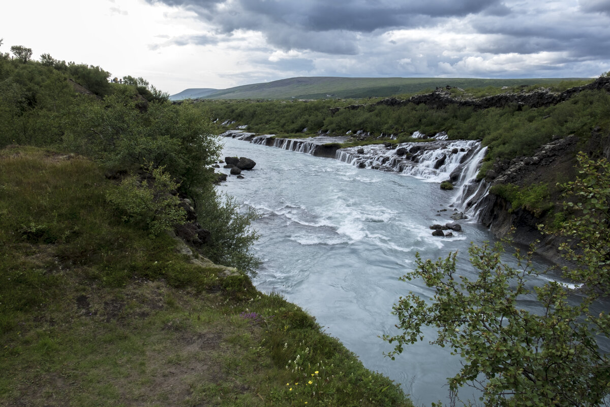 ** - Александр Липовецкий