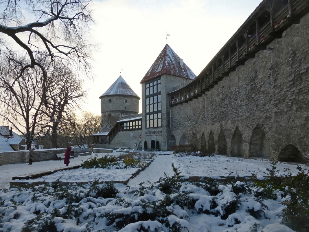 Зимний Таллинн - Елена Суханова