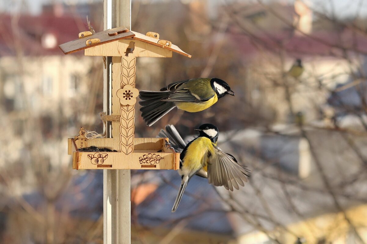 Посторонись, взлетаю. - Татьяна Бравая