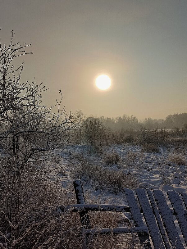 Морозное утро... - Ирина *