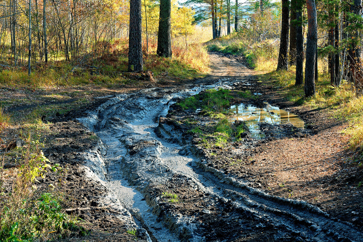 Нужно проехать - Дмитрий Конев