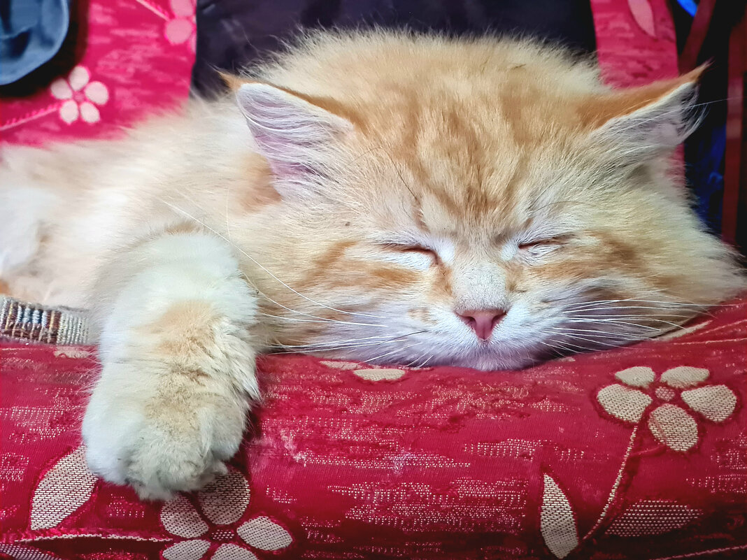 Лень - Валерий Ткаченко