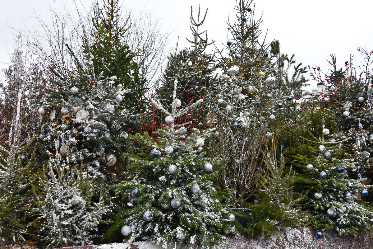 Предновогодняя Москва. Путешествие в Рождество. - Наташа *****