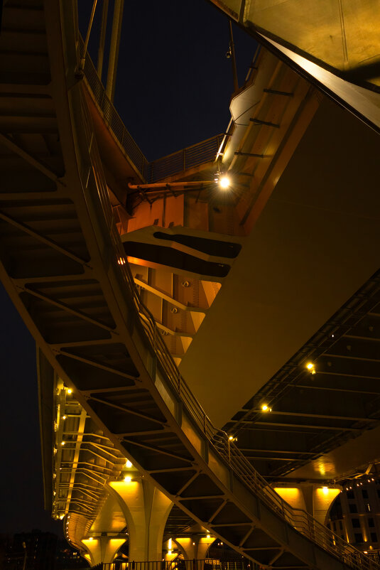 * - Светлана Воробьева