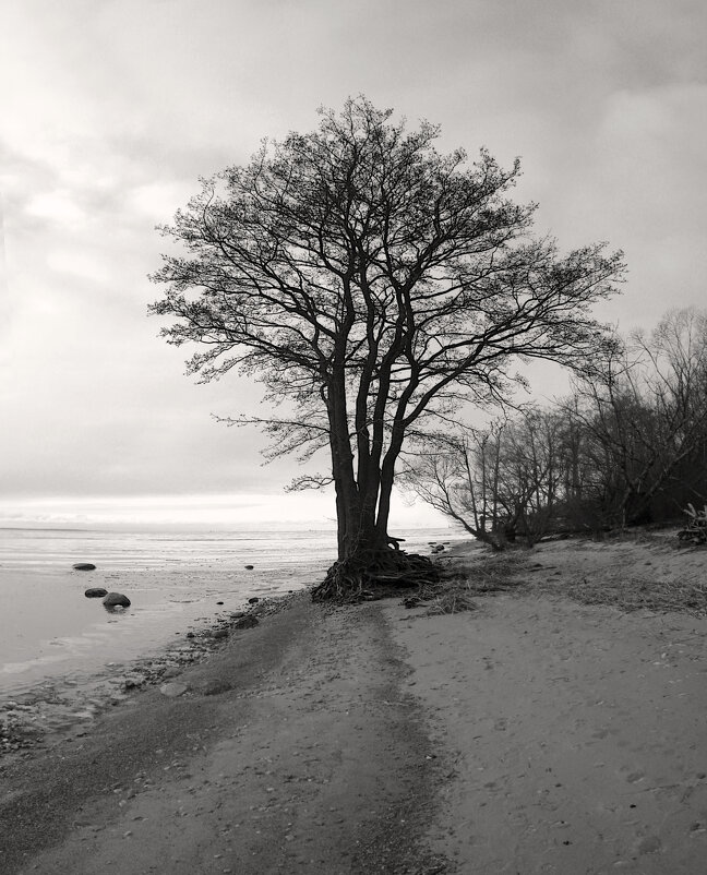 *** - Сергей Григорьев