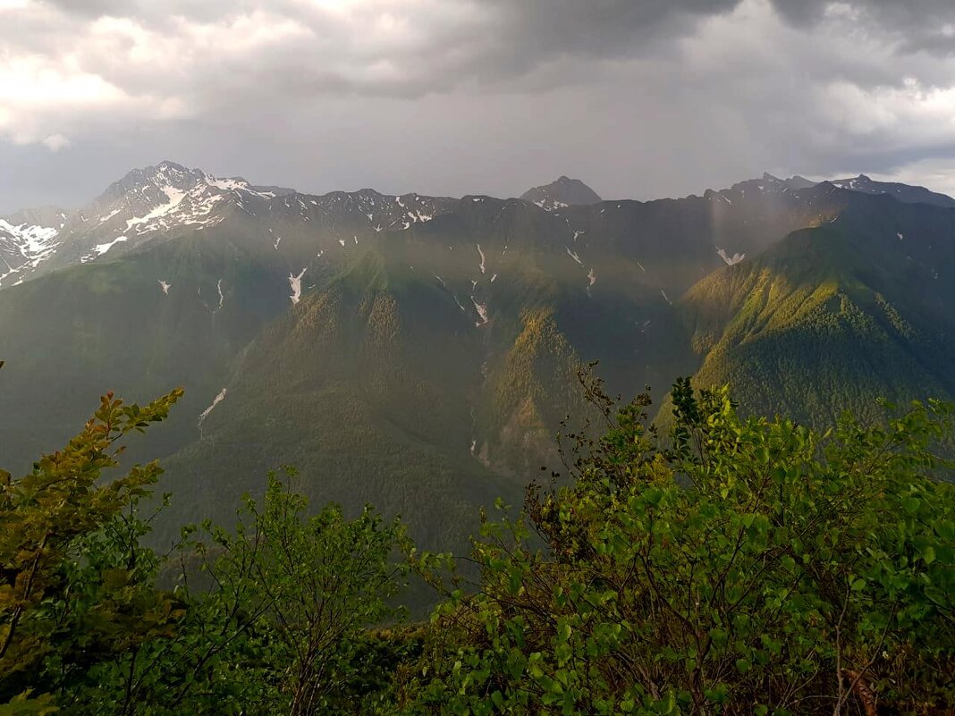 красная поляна сочи - Tata Wolf