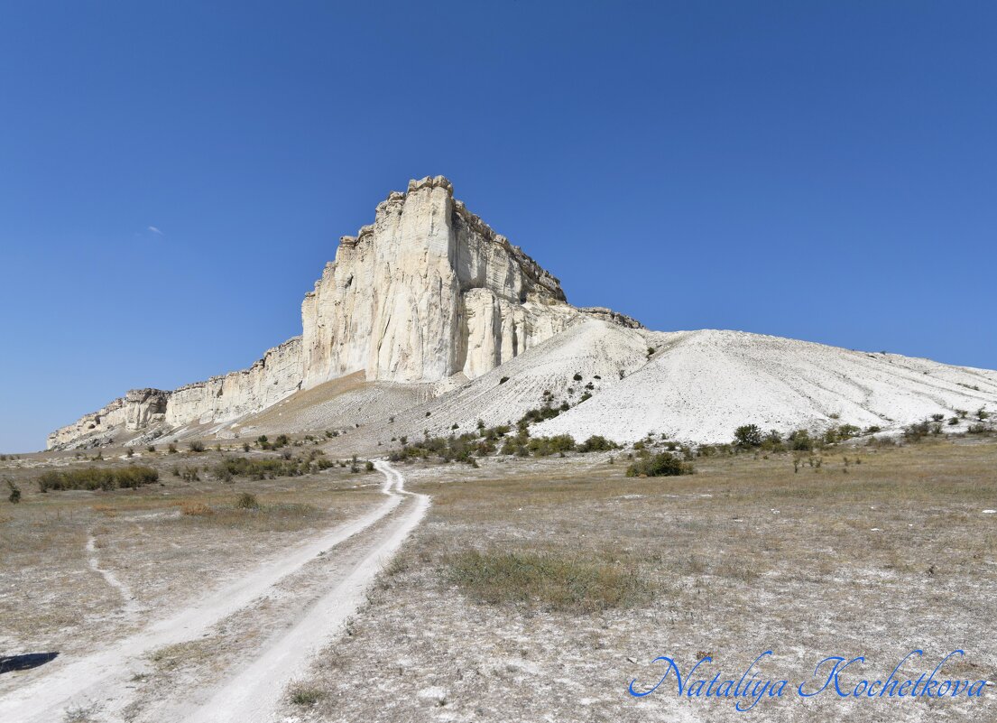 Природа Крыма - Amazing Cosmea