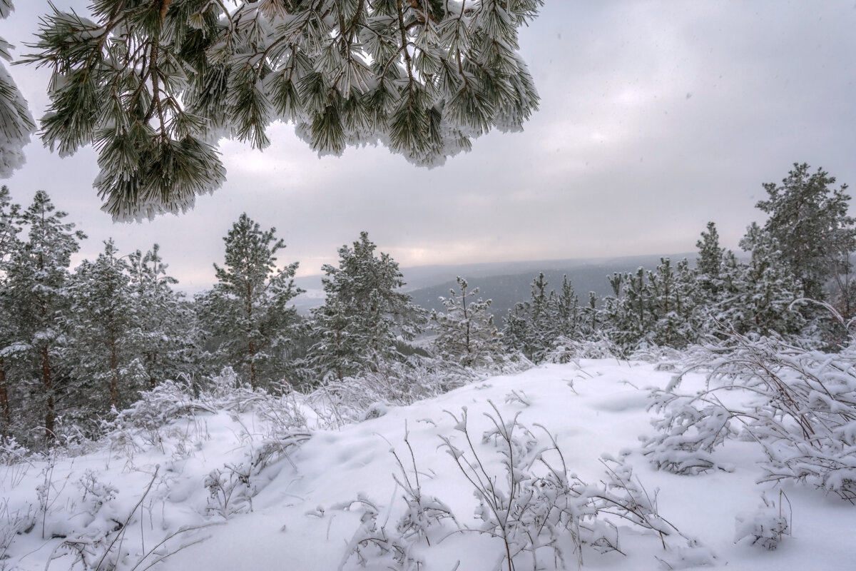 В царстве Снежной королевы - Наталья Димова