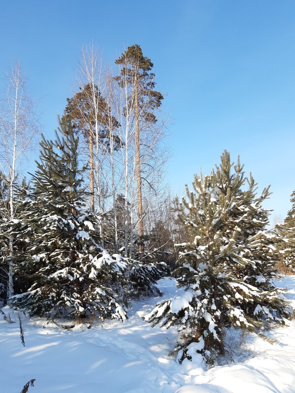 Фото одного дня - Галина Минчук