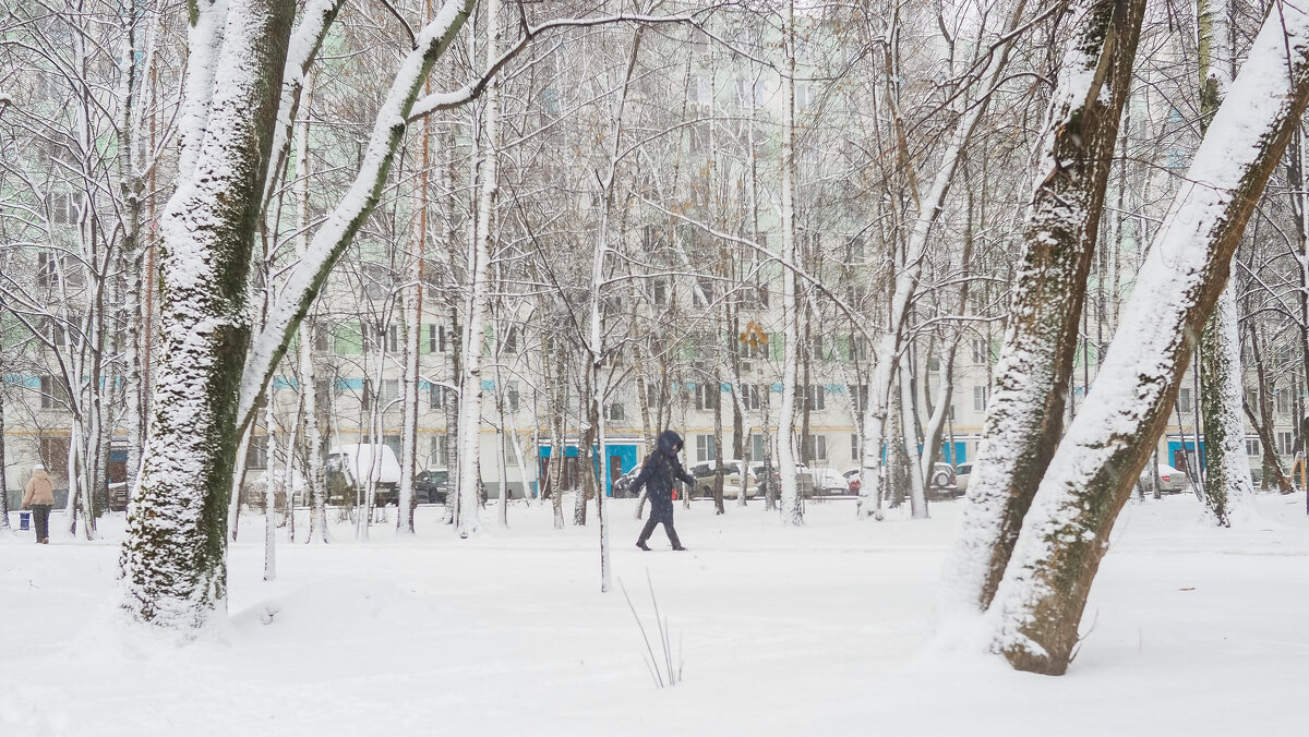 Непогода в Городе - юрий поляков