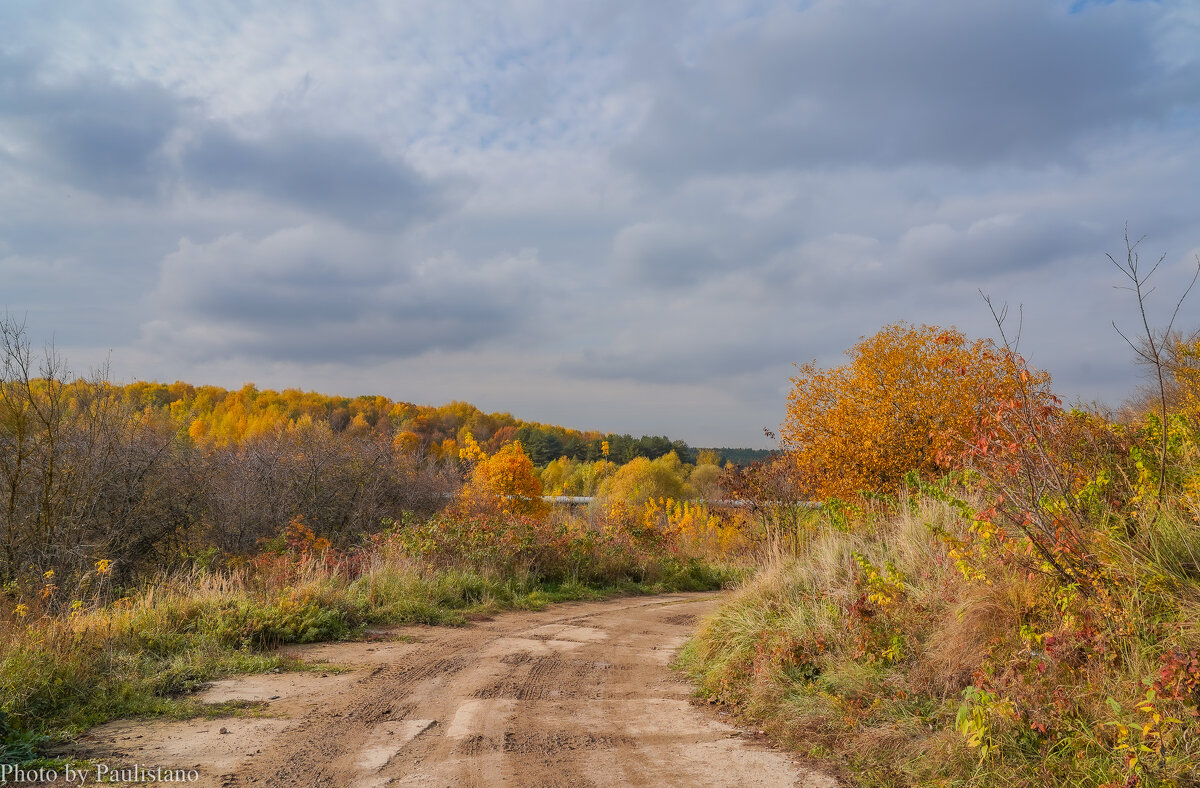 Под небом октября... - Владимир Жданов
