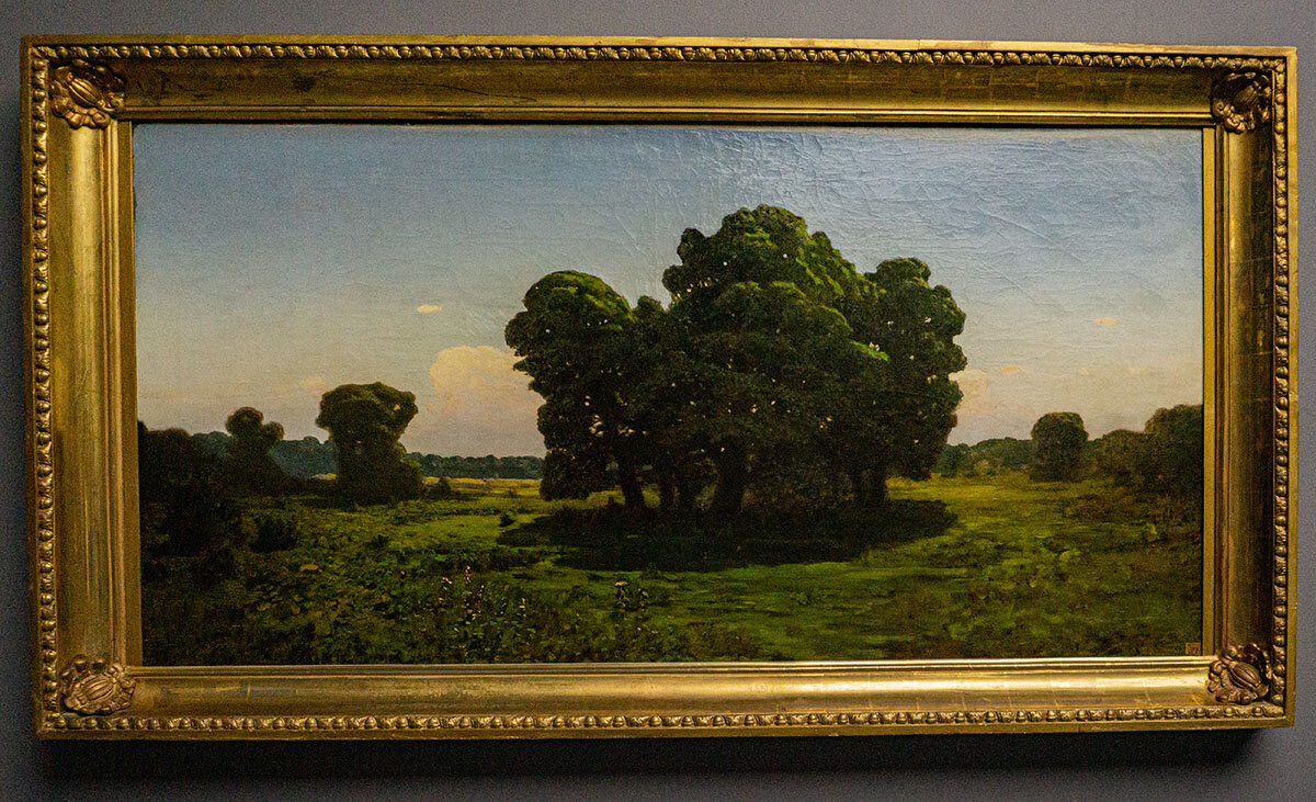 Дубы - Ирина Соловьёва