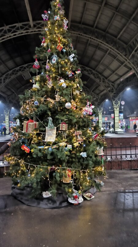 ЭКО-ёлка на Витебском вокзале. - Ольга 