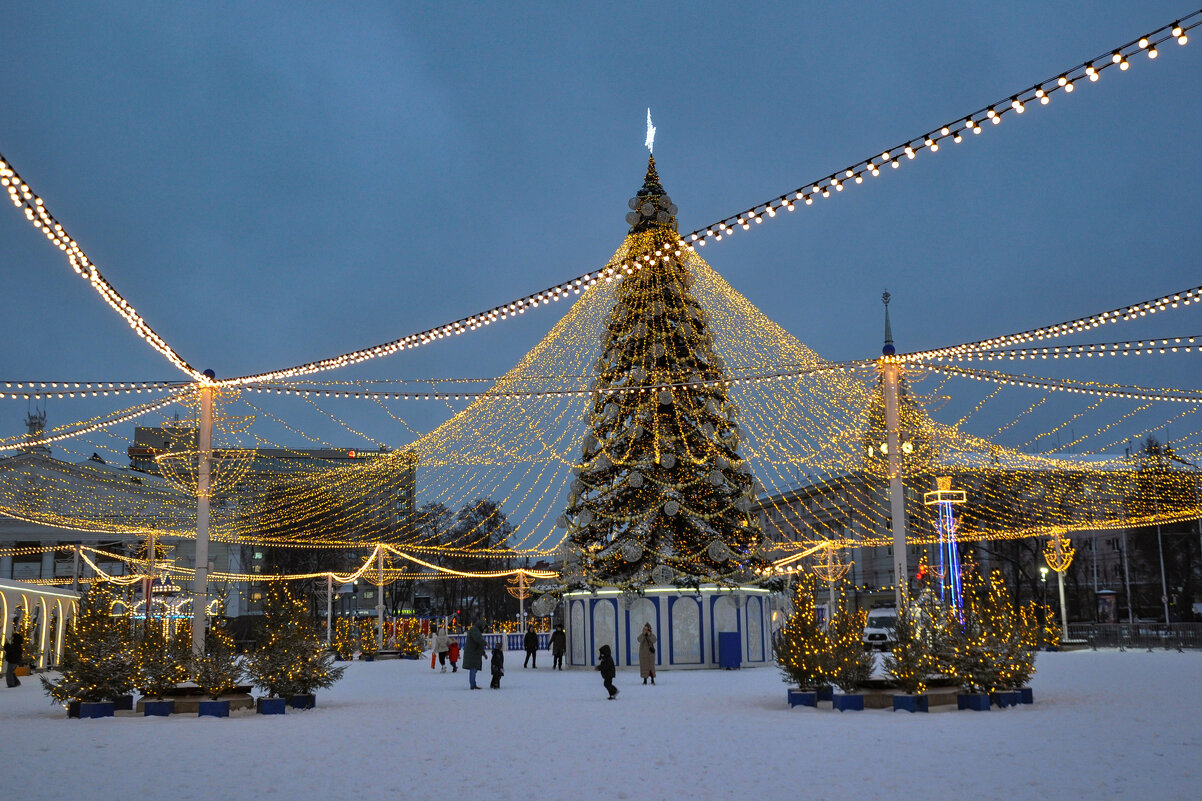 Главная новогодняя ёлка - Татьяна Машошина