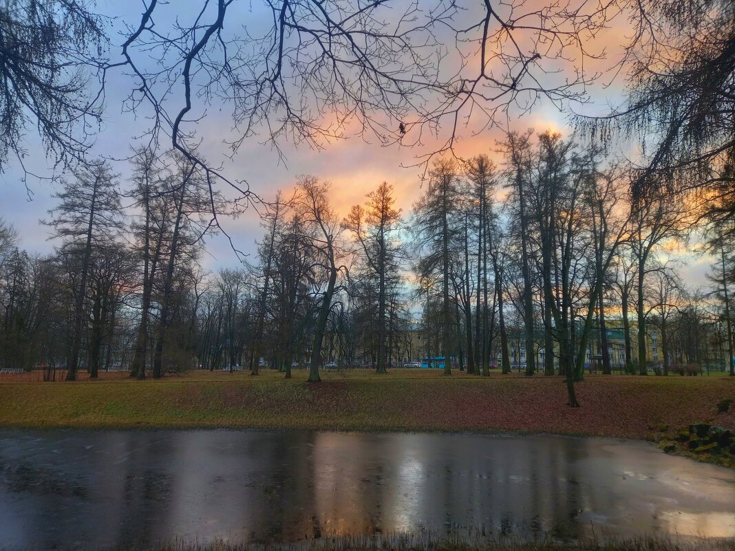 Рассвет - Сапсан 