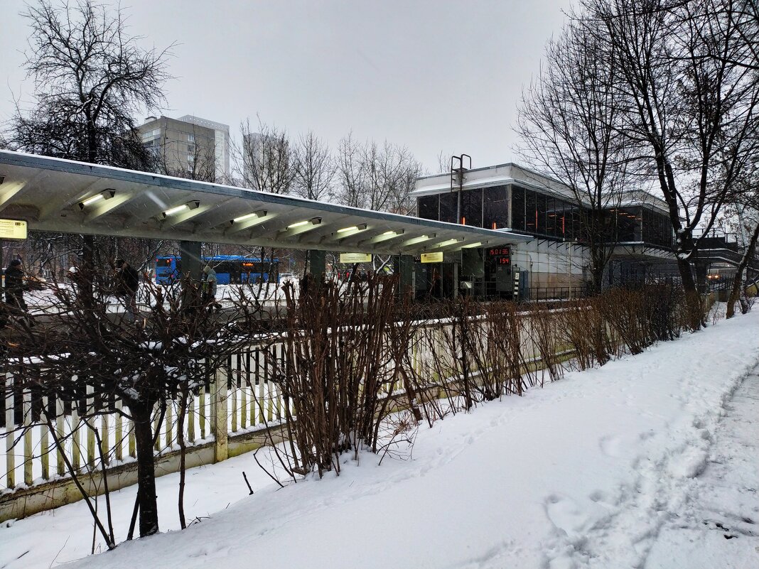 Пока зима, а там посмотрим - Андрей Лукьянов