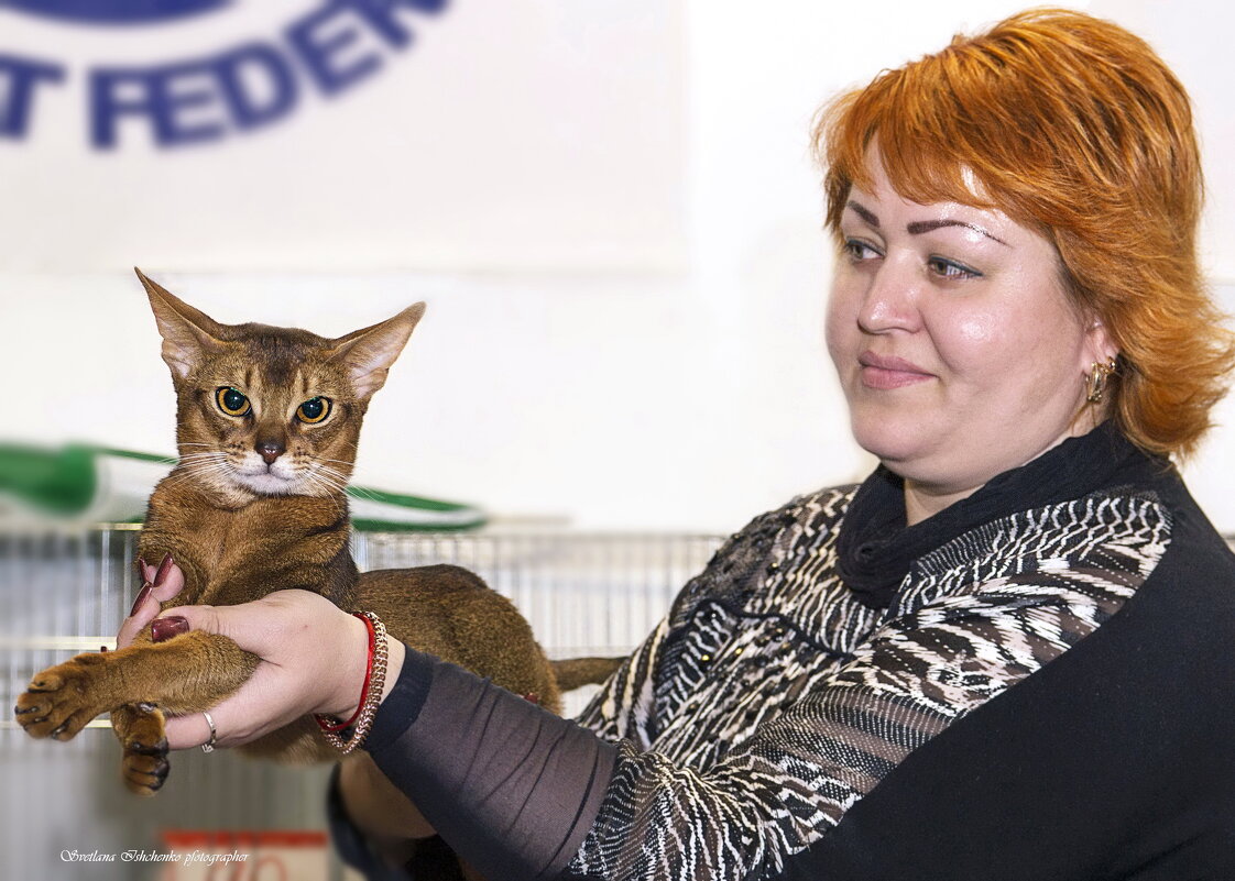 Фото с выставки кошек - Светлана Ищенко
