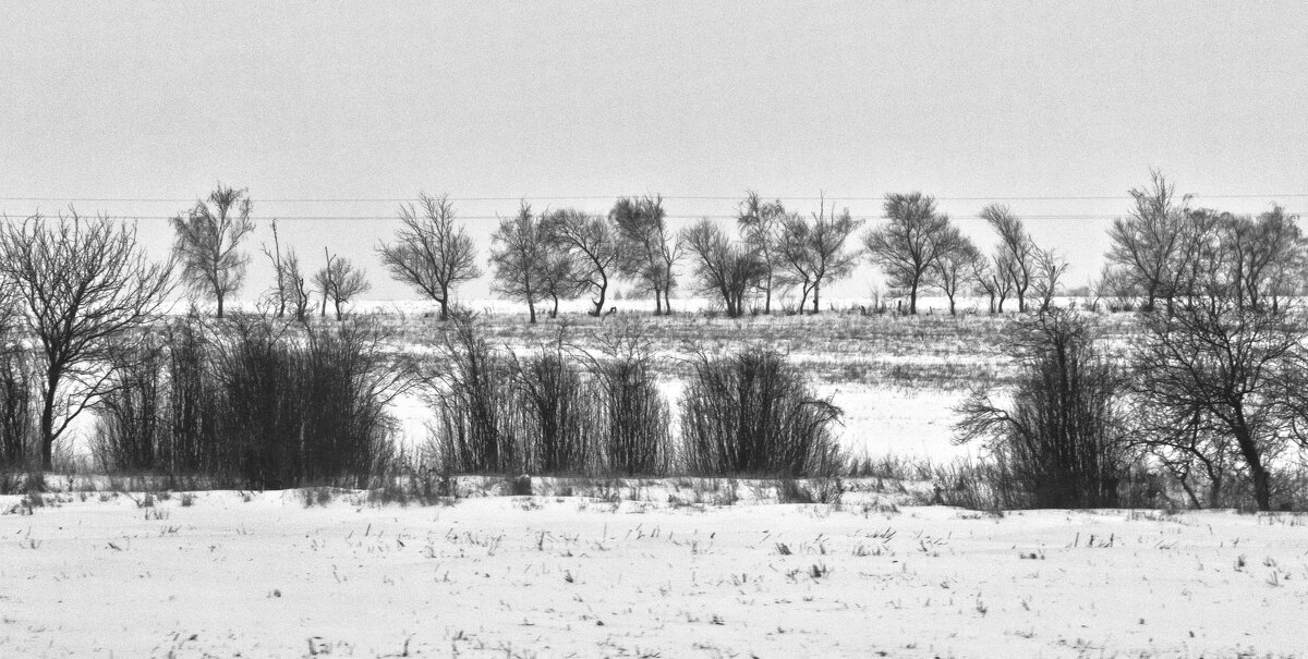 Где-то в волгоградский облати - Надежда 