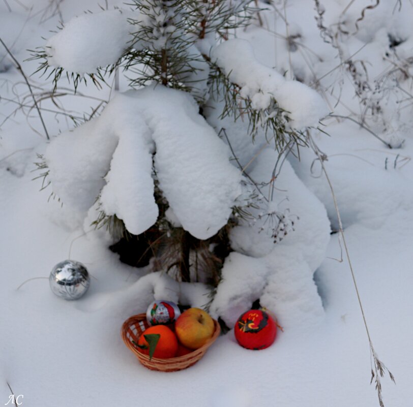 *** - Любовь Сахарова
