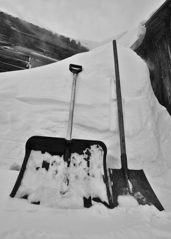 Снегоуборочная техника - Сергей Шаврин