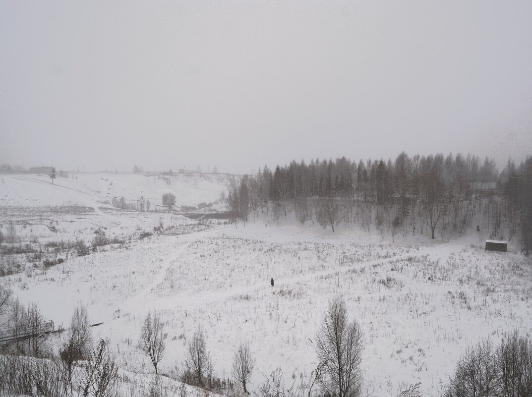 Новочебоксарск. Снегопад в долине реки Кукшум. - Пётр Чернега