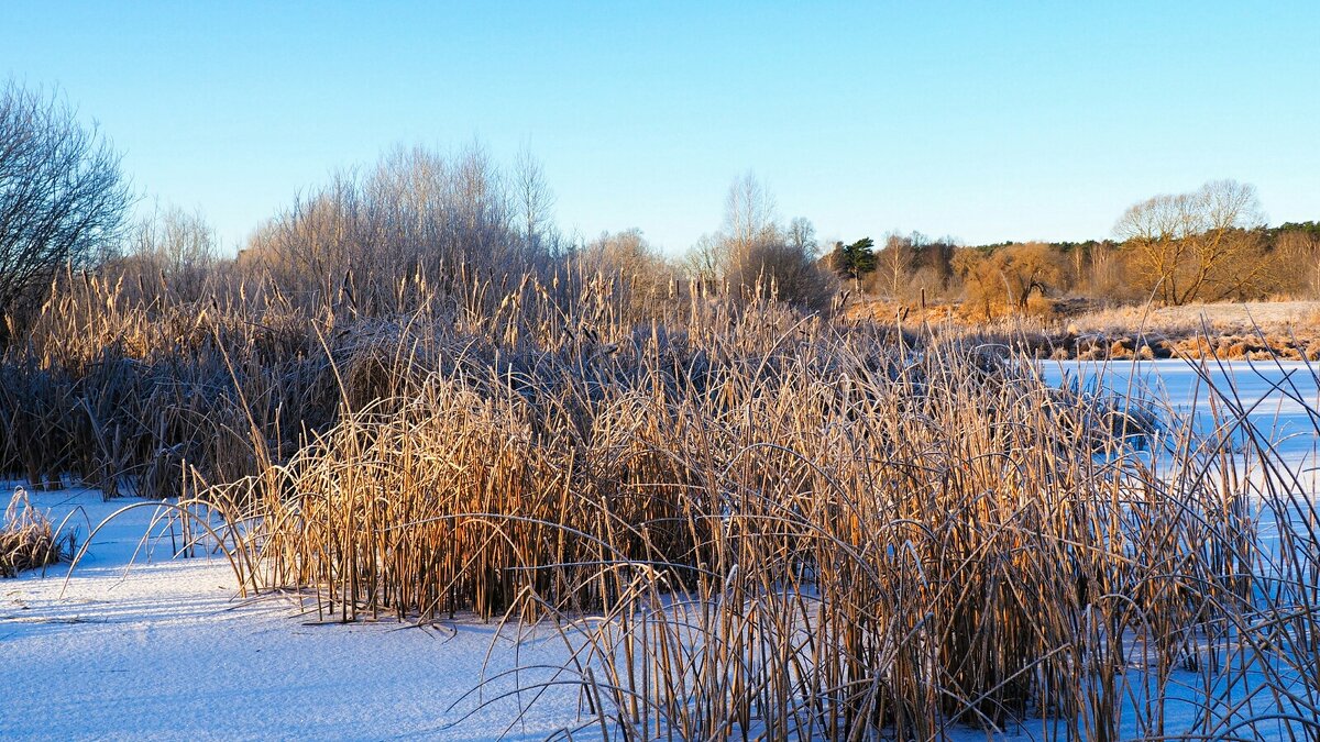 На замёрзшем озере. - Милешкин Владимир Алексеевич 