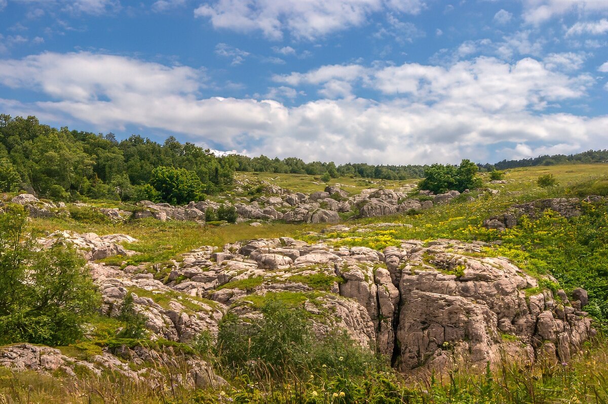 Лаго-Наки - Игорь Сикорский