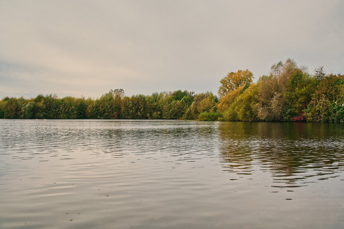 (°-°) - Jakob Dick