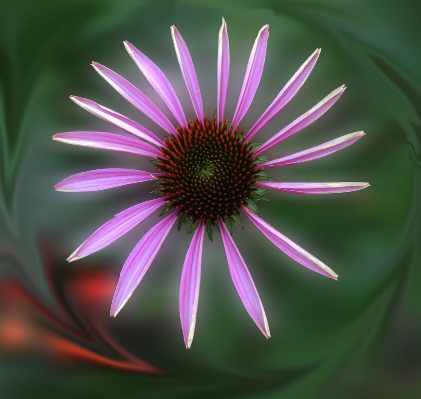 Летний круговорот - Александр Ковальчук