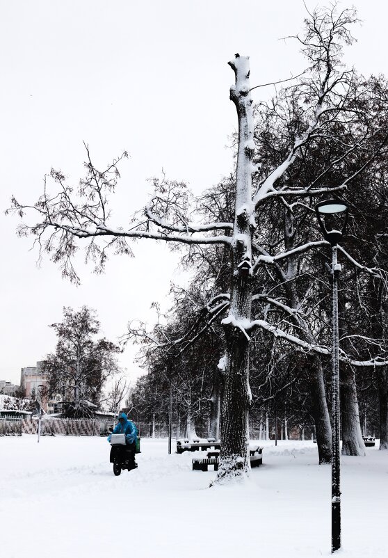 Курьер. - Василий Палий