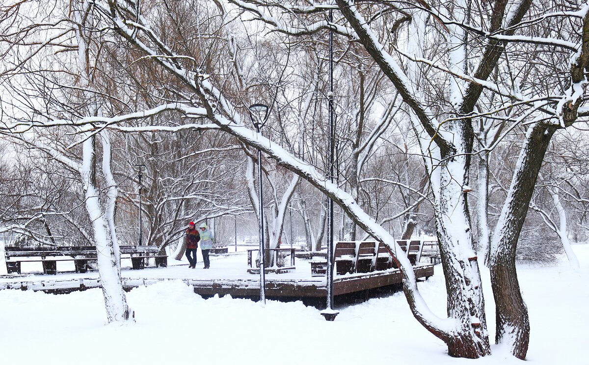 По заснеженному парку. - Василий Палий