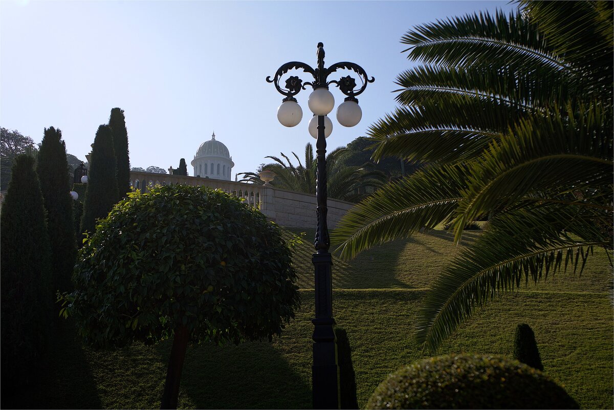 Израиль Хайфа предновогодняя 2025г - ujgcvbif 