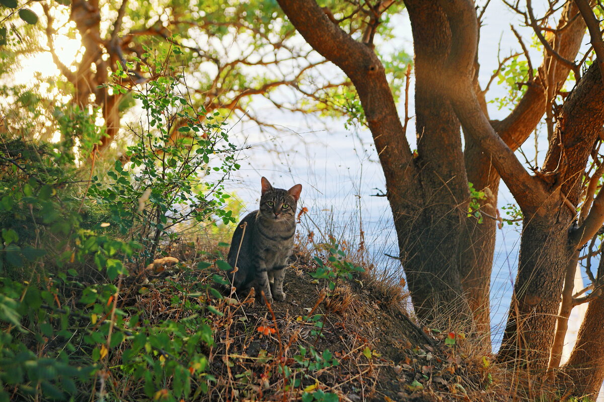 ".. ведь ты моряк, Мишка.." - Леонид 